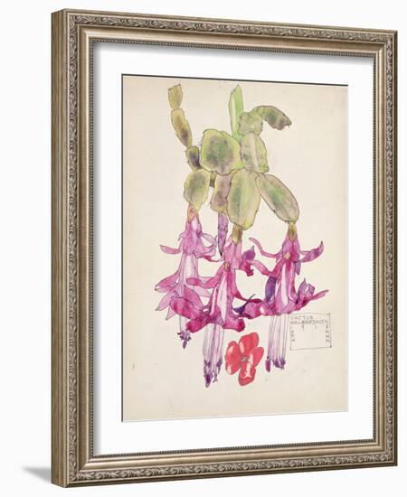 Cactus Flower-Charles Rennie Mackintosh-Framed Giclee Print