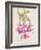 Cactus Flower-Charles Rennie Mackintosh-Framed Giclee Print