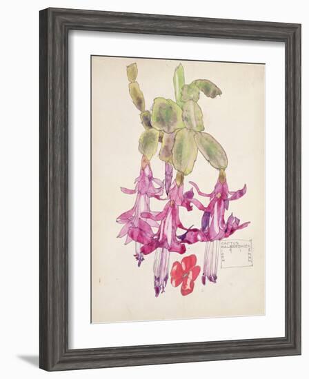 Cactus Flower-Charles Rennie Mackintosh-Framed Giclee Print