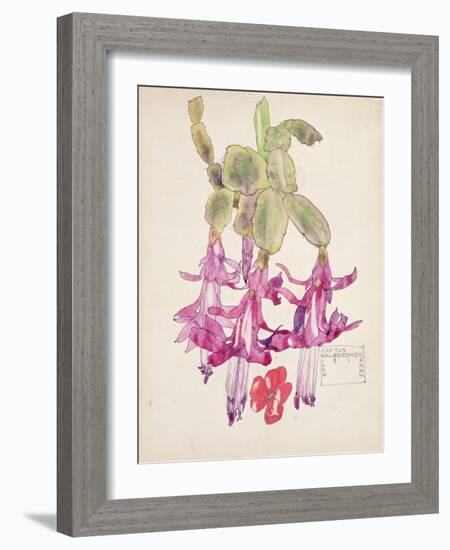 Cactus Flower-Charles Rennie Mackintosh-Framed Giclee Print