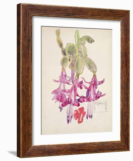 Cactus Flower-Charles Rennie Mackintosh-Framed Giclee Print