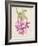 Cactus Flower-Charles Rennie Mackintosh-Framed Giclee Print