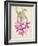 Cactus Flower-Charles Rennie Mackintosh-Framed Giclee Print