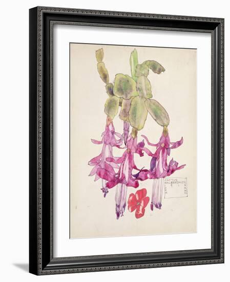 Cactus Flower-Charles Rennie Mackintosh-Framed Giclee Print