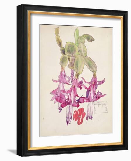 Cactus Flower-Charles Rennie Mackintosh-Framed Giclee Print