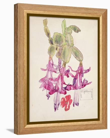 Cactus Flower-Charles Rennie Mackintosh-Framed Premier Image Canvas