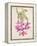 Cactus Flower-Charles Rennie Mackintosh-Framed Premier Image Canvas