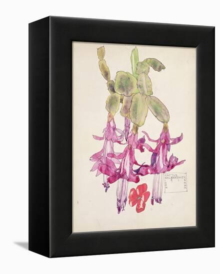 Cactus Flower-Charles Rennie Mackintosh-Framed Premier Image Canvas