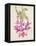 Cactus Flower-Charles Rennie Mackintosh-Framed Premier Image Canvas