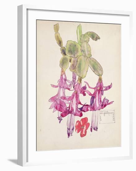 Cactus Flower-Charles Rennie Mackintosh-Framed Premium Giclee Print