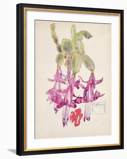 Cactus Flower-Charles Rennie Mackintosh-Framed Premium Giclee Print