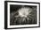 Cactus Flowers-1010-B&W-Gordon Semmens-Framed Photographic Print