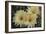 Cactus Flowers 1016-Gordon Semmens-Framed Photographic Print