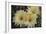 Cactus Flowers 1016-Gordon Semmens-Framed Photographic Print