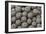 Cactus Flowers-1040-B&W-Gordon Semmens-Framed Photographic Print