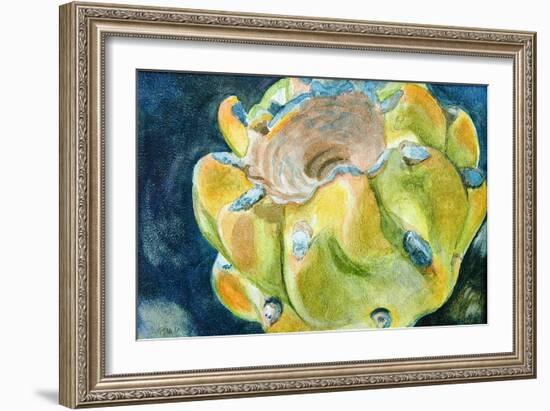 Cactus Fruit-Jennifer Redstreake Geary-Framed Art Print