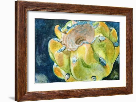 Cactus Fruit-Jennifer Redstreake Geary-Framed Art Print