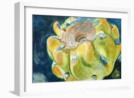 Cactus Fruit-Jennifer Redstreake Geary-Framed Art Print