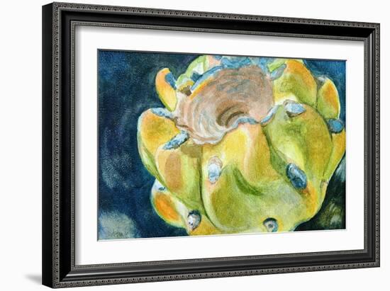 Cactus Fruit-Jennifer Redstreake Geary-Framed Art Print