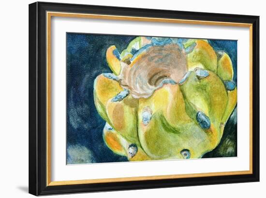 Cactus Fruit-Jennifer Redstreake Geary-Framed Art Print