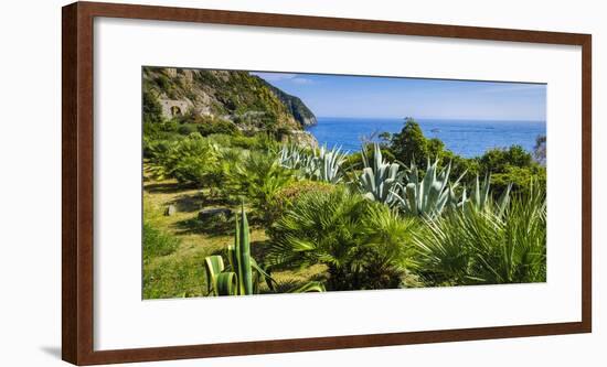Cactus garden along the Via dell'Amore, Riomaggiore, Cinque Terre, Liguria, Italy-Russ Bishop-Framed Photographic Print