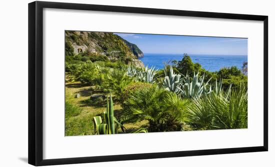Cactus garden along the Via dell'Amore, Riomaggiore, Cinque Terre, Liguria, Italy-Russ Bishop-Framed Photographic Print