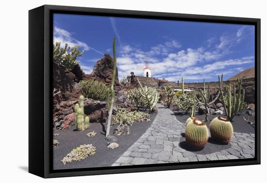 Cactus garden (Jardin de Cactus) by Cesar Manrique, UNESCO Biosphere Reserve, Guatiza, Spain-Markus Lange-Framed Premier Image Canvas