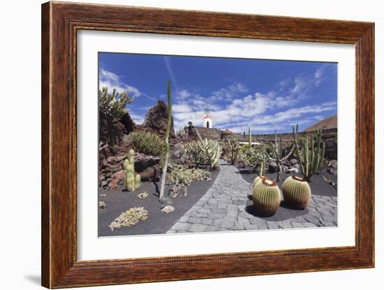 Cactus garden (Jardin de Cactus) by Cesar Manrique, UNESCO Biosphere Reserve, Guatiza, Spain-Markus Lange-Framed Photographic Print