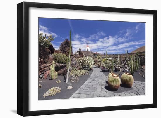 Cactus garden (Jardin de Cactus) by Cesar Manrique, UNESCO Biosphere Reserve, Guatiza, Spain-Markus Lange-Framed Photographic Print