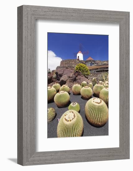 Cactus Garden Jardin De Cactus by Cesar Manrique, Wind Mill, UNESCO Biosphere Reserve-Markus Lange-Framed Photographic Print