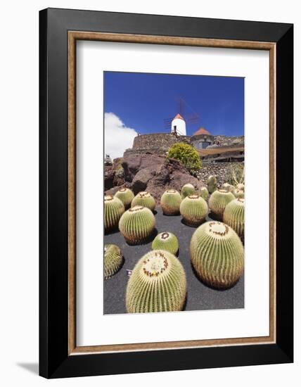 Cactus Garden Jardin De Cactus by Cesar Manrique, Wind Mill, UNESCO Biosphere Reserve-Markus Lange-Framed Photographic Print