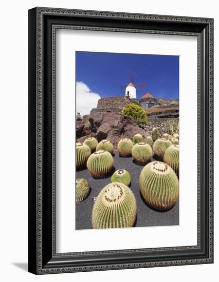 Cactus Garden Jardin De Cactus by Cesar Manrique, Wind Mill, UNESCO Biosphere Reserve-Markus Lange-Framed Photographic Print