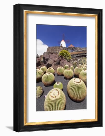 Cactus Garden Jardin De Cactus by Cesar Manrique, Wind Mill, UNESCO Biosphere Reserve-Markus Lange-Framed Photographic Print