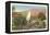 Cactus Garden, Palm Springs, California-null-Framed Stretched Canvas