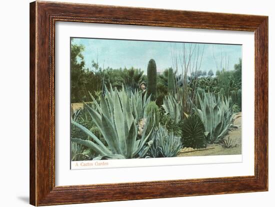 Cactus Garden with Agave-null-Framed Art Print