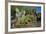 Cactus Garden-DLILLC-Framed Photographic Print