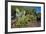 Cactus Garden-DLILLC-Framed Photographic Print