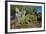 Cactus Garden-DLILLC-Framed Photographic Print