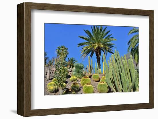 Cactus Garden-Oleg Znamenskiy-Framed Photographic Print