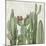 Cactus Heaven-Asia Jensen-Mounted Art Print