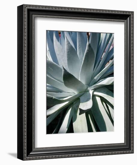 Cactus I-Jenny Kraft-Framed Art Print