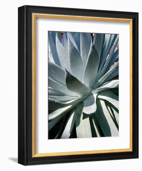 Cactus I-Jenny Kraft-Framed Art Print