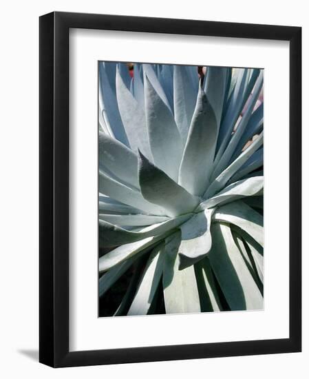 Cactus I-Jenny Kraft-Framed Art Print