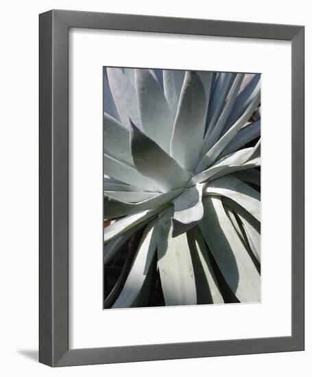 Cactus II-Jenny Kraft-Framed Giclee Print