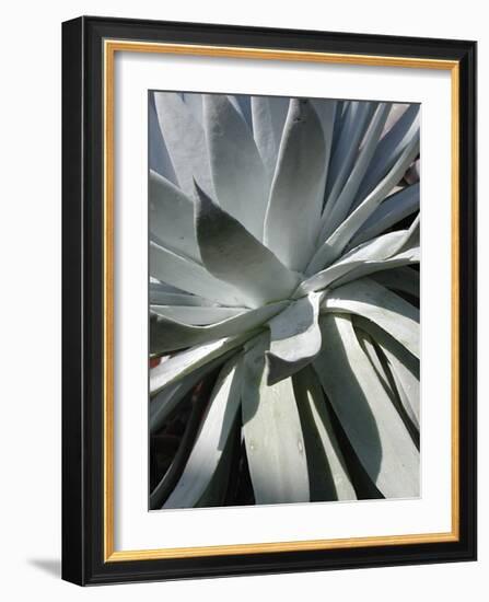 Cactus II-Jenny Kraft-Framed Giclee Print