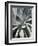 Cactus II-Jenny Kraft-Framed Giclee Print