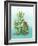 Cactus III-Paul Brent-Framed Art Print