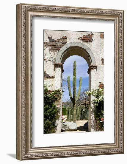 Cactus in archway of old building. Cabo San Lucas, Mexico.-Julien McRoberts-Framed Photographic Print