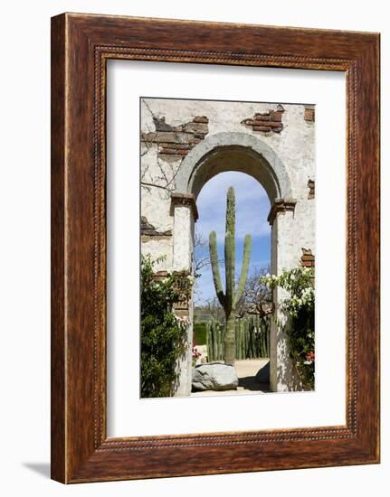 Cactus in archway of old building. Cabo San Lucas, Mexico.-Julien McRoberts-Framed Photographic Print