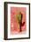 Cactus in Santa Catalina Monastery in Arequipa, Peru-Matyas Rehak-Framed Photographic Print